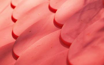 Craighat plastic roof costs